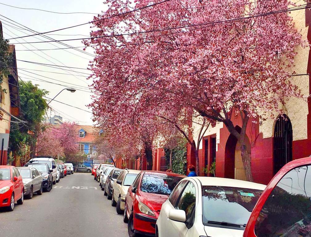 Tralkan B&B Santiago Dış mekan fotoğraf