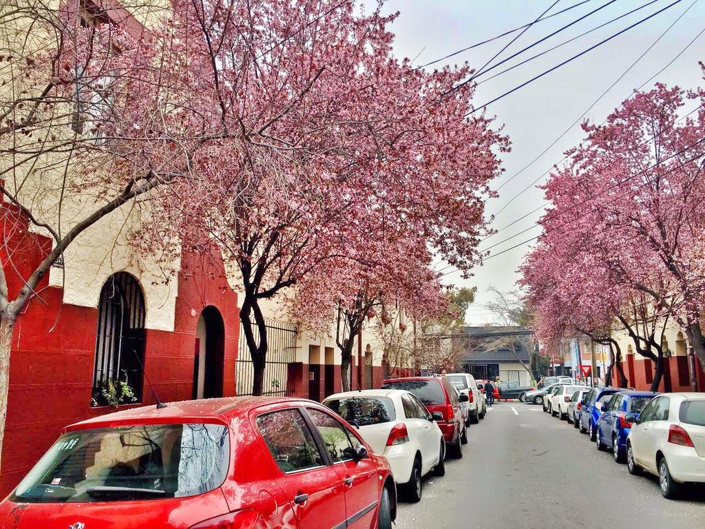 Tralkan B&B Santiago Dış mekan fotoğraf